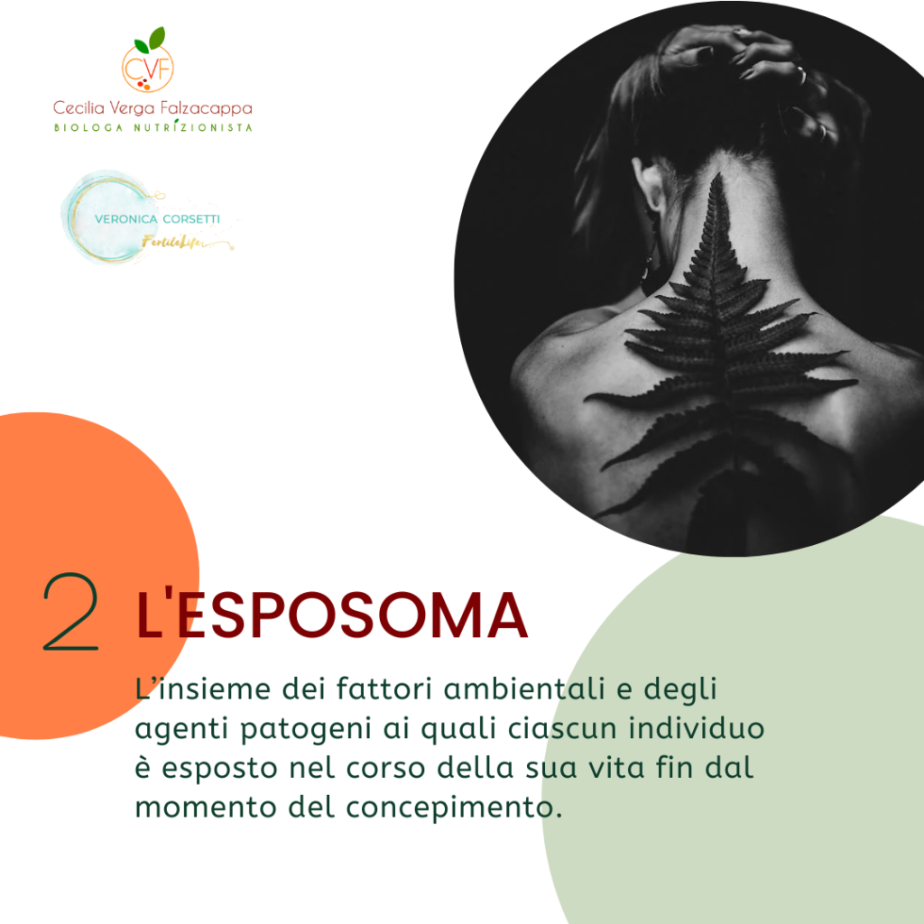 esposoma