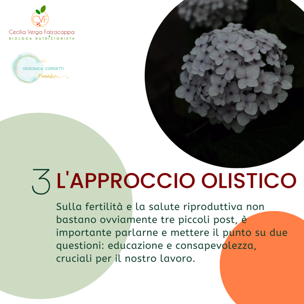 approccio olistico