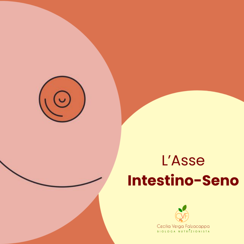 L’Asse Intestino Seno